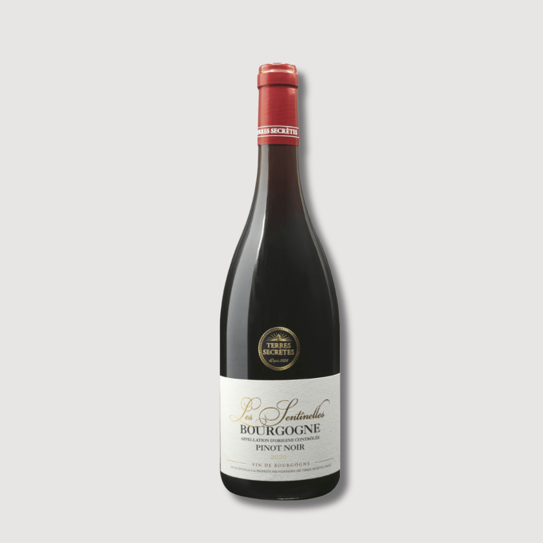 Vignerons - Les sentinelles Bourgogne pinot noir
